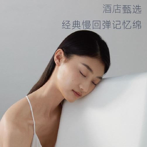 Hotel Collection Deep Sleep Zero Pressure Memory Foam Pillow 8cm 10cm